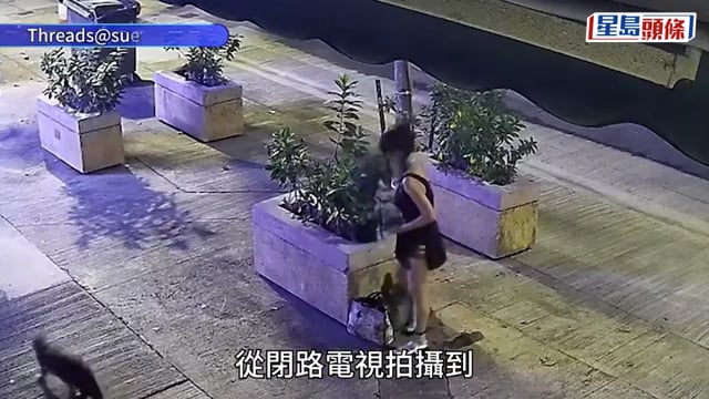 KOL雪兒遺手袋於花圃遭他人擸走 曾公開CCTV盼還證件 菲籍婦涉盜竊被捕