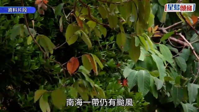 颱風鳳凰︱天文台:下午12時20分發出一號戒備信號 風暴已進入本港800公里範圍