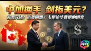 中加“去美元”握手是抗美同盟？諾貝爾獎送給特朗普？當今世界：規則已死，利益至上！ | 多嘴聯盟