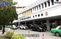 郭秀雲元朗代友尋遺失鸚鵡 座駕擋風玻璃被擊碎 兇徒留字條:下次弄人