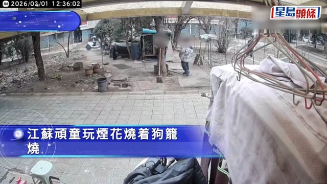他只是孩子︱江蘇2熊孩監生燒死西摩犬 家長盲撐「不就是一條狗」惹怒全網
