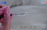郭秀雲元朗代友尋遺失鸚鵡 座駕擋風玻璃被擊碎 兇徒留字條:下次弄人
