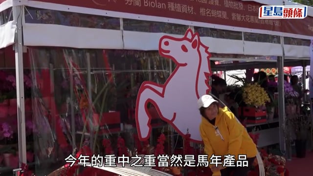 年宵｜中學生首次創業主打文創產品 配合馬年賣馬仔抱枕 「馬上有錢」鍵盤按鈕送祝福