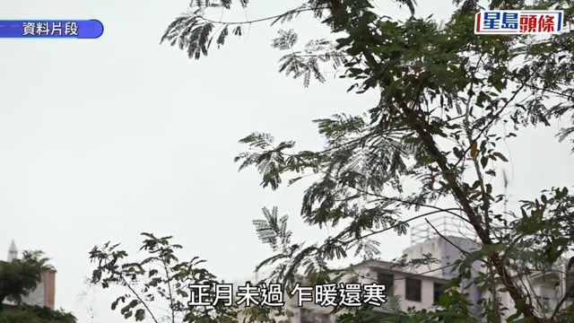 天氣︱季候風來襲「倒春寒」 周六巿區16°C 上水低見13°C 離岸高地吹6級強風