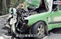 粉錦公路綠的迎頭撼夾斗貨車 的士司機女乘客被困 送院雙亡
