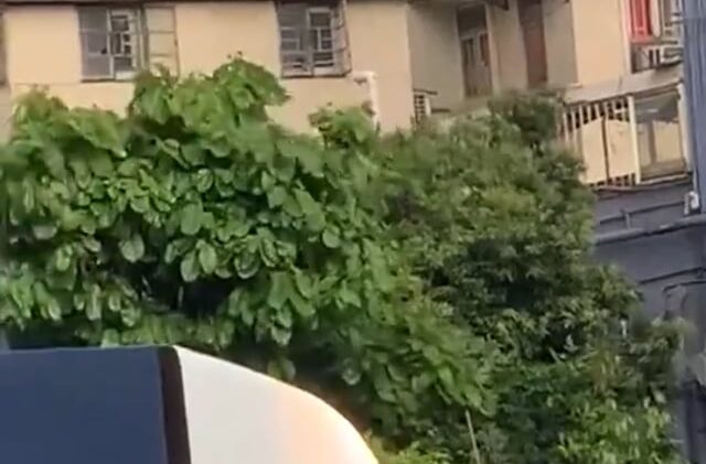 元朗黑裙女被困簷篷頂 網民:係咪捉姦?