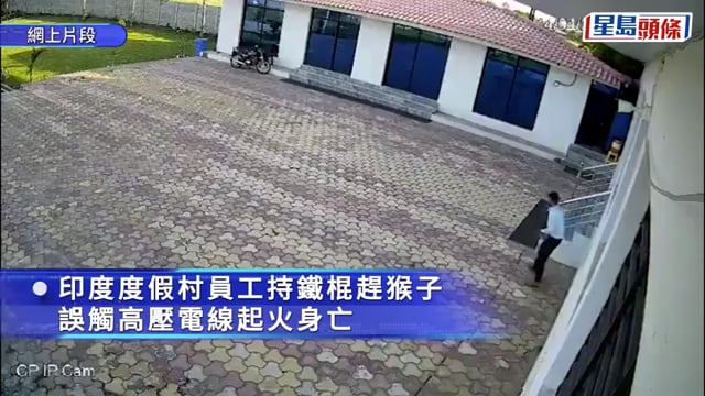 死神來了︱度假村員工擸鐵棍趕馬騮 觸碰高壓電線變火球喪命