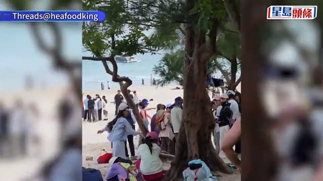 有片｜「抱樹文化」 蔓延香港 熱褲女爬樹打卡惹眾怒 目擊者:無品嘅行為唔好學