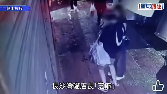長沙灣貓店長「芝麻」上周五被偷 貓主:已經尋回