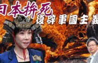 長沙灣貓店長「芝麻」上周五被偷 貓主:已經尋回
