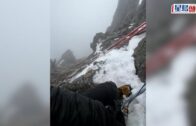 特工擊傷華盛頓國家廣場附近持槍漢 萬斯車隊剛經過 白宮曾短暫封鎖