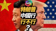 支持率下跌＋訪華未確認？特朗普此行還有多少底氣 | 多嘴聯盟