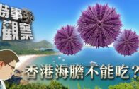 天文台︱周二多區氣溫升穿30°C 惟周三起降溫 連落七日雨兼有雷暴 周六低見23°C