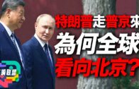 普京訪華 | 普京:中俄關係達到前所未有水平 兩國友誼不針對任何國家