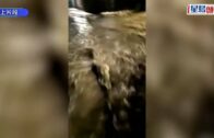牛頭角車禍｜涉駕的士剷行人路撞死兩女途人 七旬司機被控危駕致他人死亡