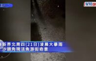 牛頭角車禍｜涉駕的士剷行人路撞死兩女途人 七旬司機被控危駕致他人死亡