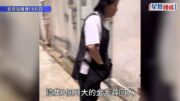 旺角女伴侶棄狗｜愛協指金毛狗B已安樂死 患末期狗瘟極痛苦 無法飲水持續抽搐