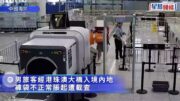 港珠澳大橋︱入境男神色驚青褲袋「脹卜卜」 搜出15隻重逾4公斤活龜︱有片