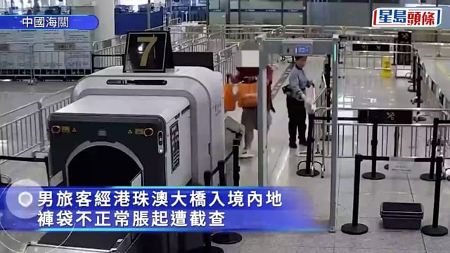 港珠澳大橋︱入境男神色驚青褲袋「脹卜卜」 搜出15隻重逾4公斤活龜︱有片