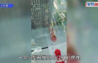 小一派位「提早放榜」 調查結果揭人為疏忽 涉事教育局人員調職、停發增薪點