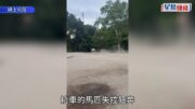紐約中央公園復古馬車失控翻覆 18歲印度男遊客拋飛慘死 疑馬伕為賺外快違規肇禍