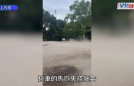 星島申訴王｜港版《鐵拳教育》怪獸家長逼食「聰明藥」 放蛇揭藥房職員違規賣藥:食後會高分些