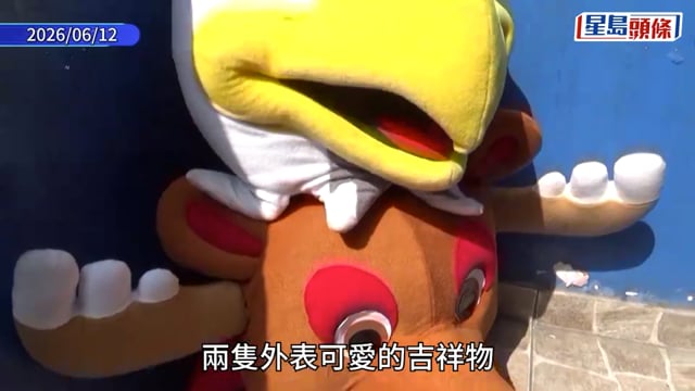世界盃2026｜秘魯警扮吉祥物演「無間道」 破門擒死忠球迷毒販檢逾兩千包毒品