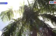 天氣︱低壓區生成本港「食下沉」 天文台大幅調高氣溫預測 周五再現極端酷熱 新界多區達35、36度
