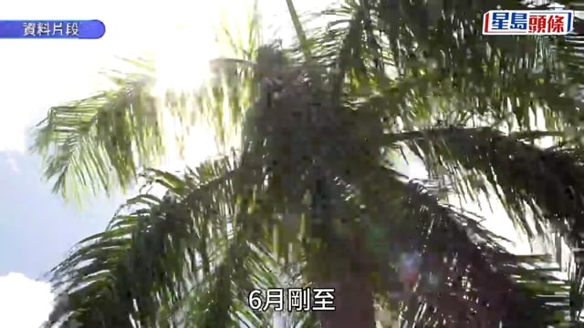 天氣︱低壓區生成本港「食下沉」 天文台大幅調高氣溫預測 周五再現極端酷熱 新界多區達35、36度