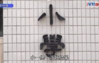 小一派位「提早放榜」︱蔡若蓮:事件不涉外判商 結果以明早7時半為準 籲家長毋須急於聯絡學校