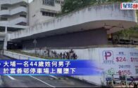 珍惜生命｜大埔男子停車場墮下 當場不治