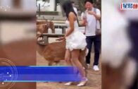 無品遊客｜短裙女硬騎奈良鹿打卡 義工揭該鹿曾遇車禍骨折轟「虐待」