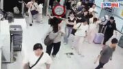 福田口岸｜北上男褲袋藏活「球蟒」闖關 涉瀕危物種被截｜有片