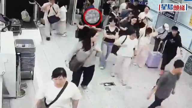 福田口岸｜北上男褲袋藏活「球蟒」闖關 涉瀕危物種被截｜有片