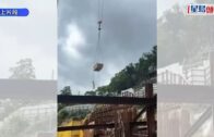 旅韓大熊貓「華妮」誕下第四胎 171克雌性幼崽叫聲洪亮