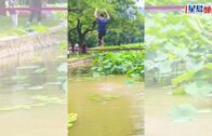 深圳洪湖公園｜「六師兄」荷塘示範「輕功水上飄」 扁帶表演技驚四座｜有片