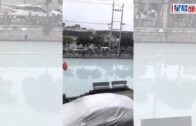 浙江一河段突變「牛奶河」 織帶廠膠水原料洩漏所致｜有片