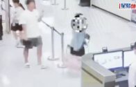蓮塘口岸｜女走私客腹部隆起被截 兩條打底褲夾層藏26隻瀕危活陸龜｜有片
