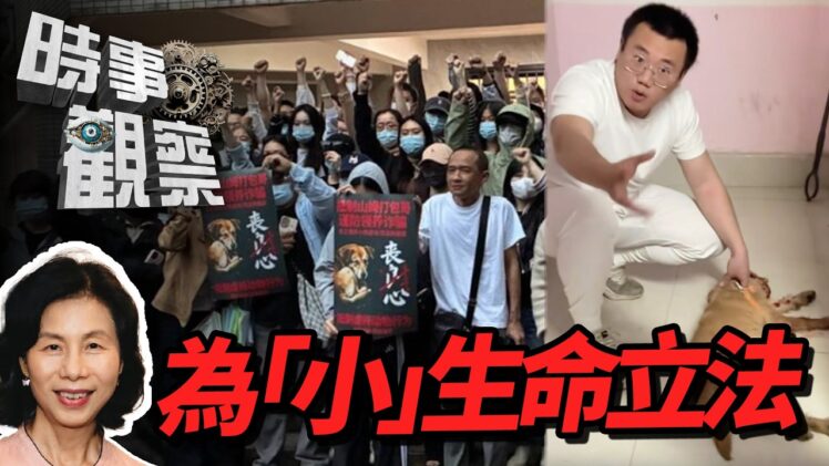 時事觀察—余非：為「小」生命立法——重慶動保事件與自學刑法勝訴的啟示