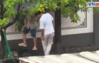 東莞暴雨｜兩揚子鱷出逃鳳崗街頭 一條落網一條仍在逃｜有片