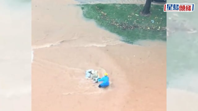惠州暴雨｜女子被激流沖倒 兩外賣小哥逆流救人獲全網激讚｜有片