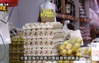 宏福苑聽證會︱專家報告指災難「完全可避免」 非阻燃棚網燃燒釋放能量差27倍 生口導致逃生時間「基本等於零」