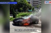 宏福苑聽證會︱專家報告指災難「完全可避免」 非阻燃棚網燃燒釋放能量差27倍 生口導致逃生時間「基本等於零」