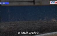 天文台｜雷暴與酷熱警告雙重夾擊！周末迎狂風雷暴 未來9日持續有雨