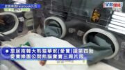 愛寶樂園｜3周大熊貓寶寶萌照曝光 「黑眼圈」初現