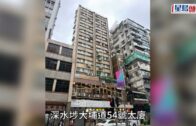 深水埗鱷魚｜附近單位再檢最少30隻爬蟲動物 包括蛇及蜥蜴 35歲女子被捕