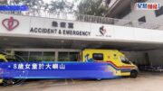 大嶼山村屋8歲女童昏迷 直升機送院搶救亡