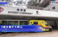 大嶼山村屋8歲女童昏迷 直升機送院搶救亡
