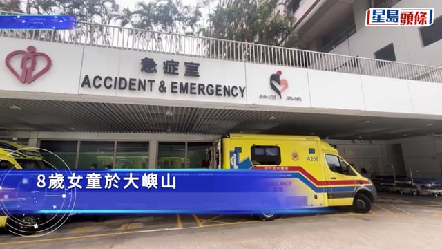 大嶼山村屋8歲女童昏迷 直升機送院搶救亡