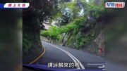 譚詠麟備戰個唱半山練跑差點被車撞 驚險車Cam片流出 網民嚇壞：快一秒都撞到佢